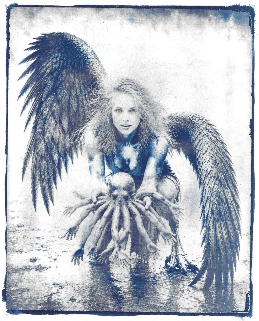 Bestiarium #13