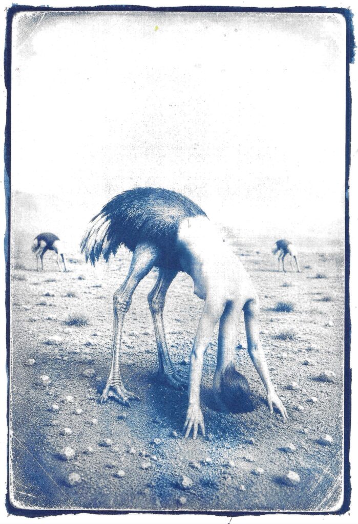 Bestiarium #14